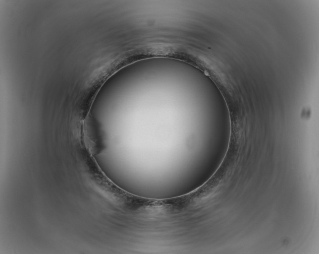 X0000090920307200707301538