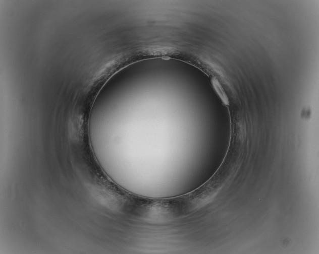 X0000090920308200707301538