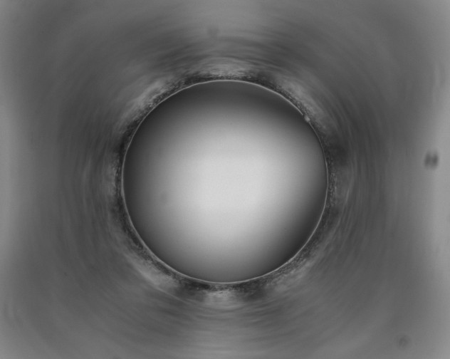X0000090920309200707301538