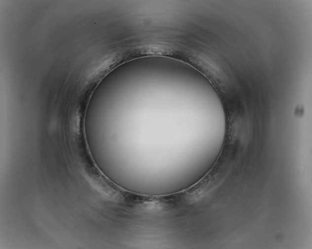 X0000090920310200707301538