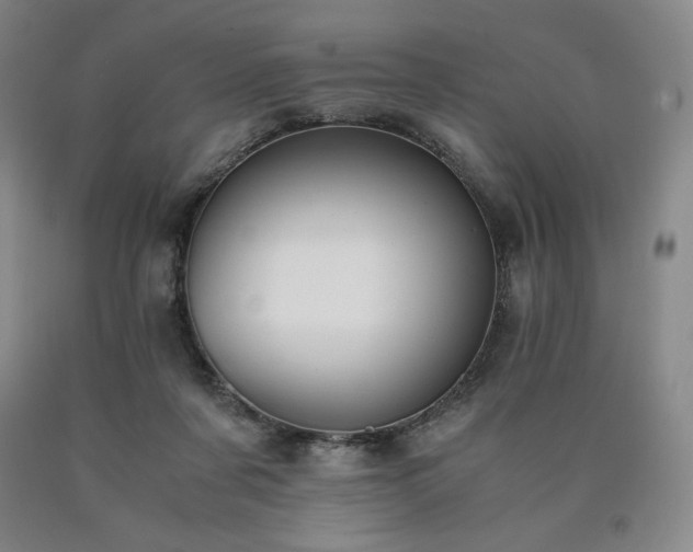 X0000090920311200707301538