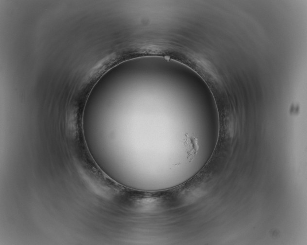 X0000090920312200707301538