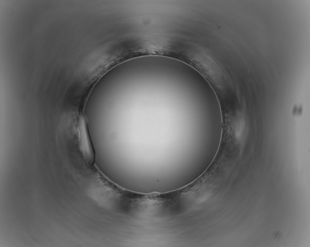 X0000090920313200707301538