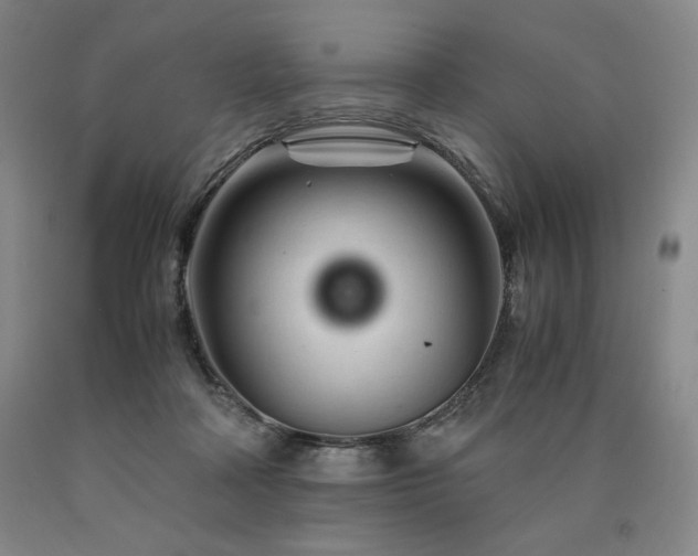 X0000090920314200707301538