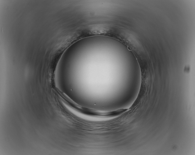 X0000090920315200707301538