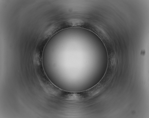X0000090920316200707301538