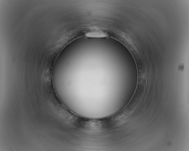 X0000090920317200707301538