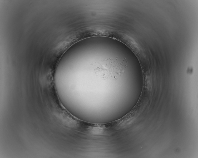 X0000090920318200707301538