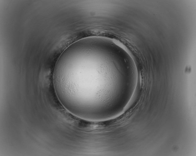 X0000090920319200707301538
