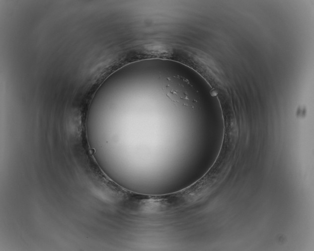 X0000090920320200707301538