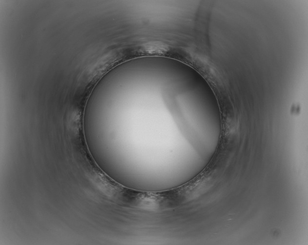 X0000090920321200707301538