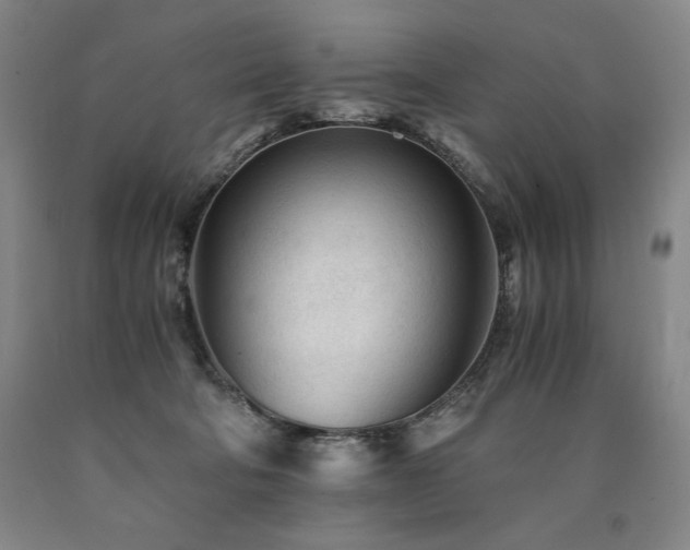 X0000090920322200707301538