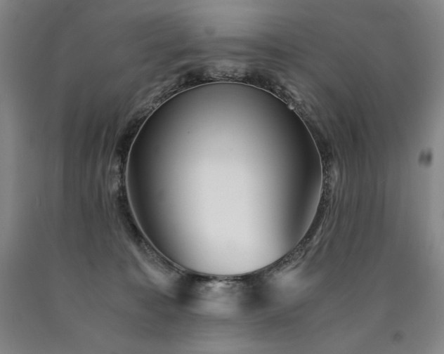 X0000090920323200707301538