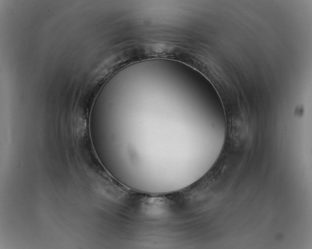 X0000090920324200707301538