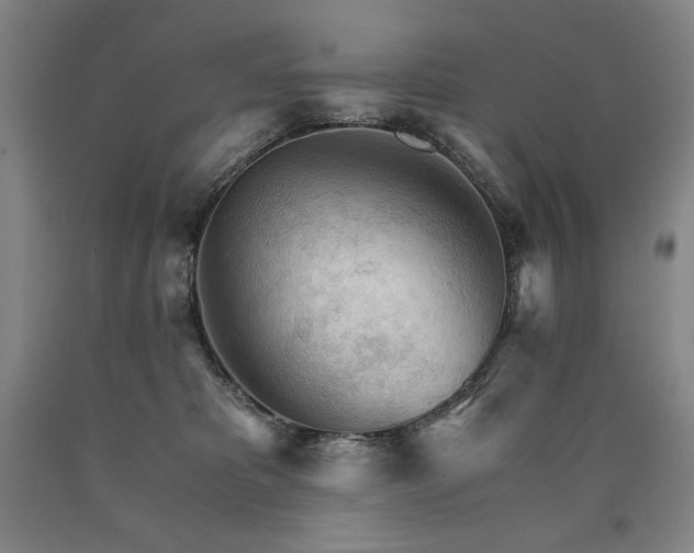 X0000090920325200707301538