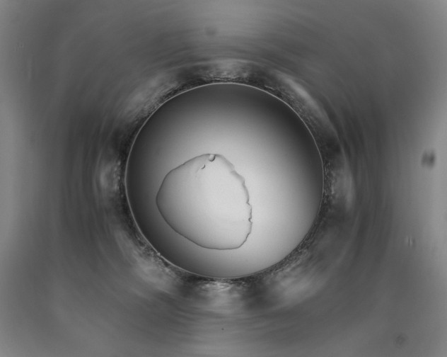 X0000090920326200707301538