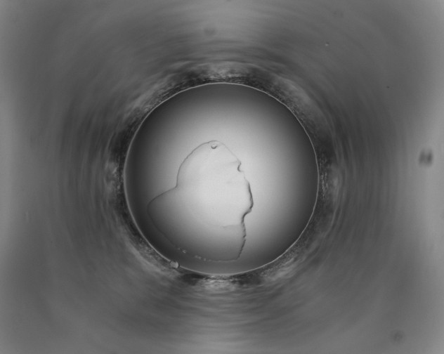 X0000090920327200707301538