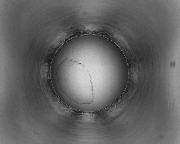 X0000090920328200707301538