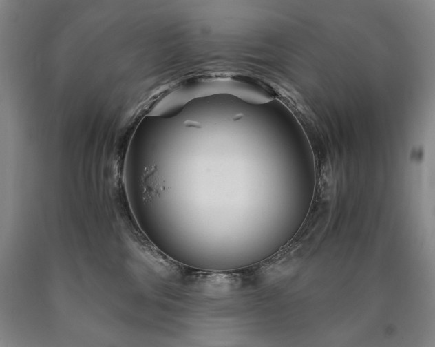 X0000090920330200707301538