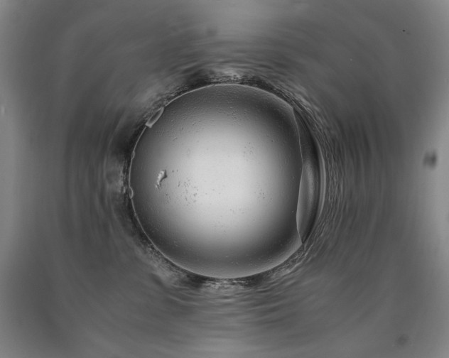 X0000090920331200707301538