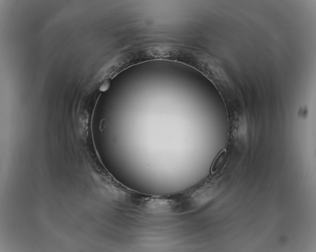 X0000090920332200707301538