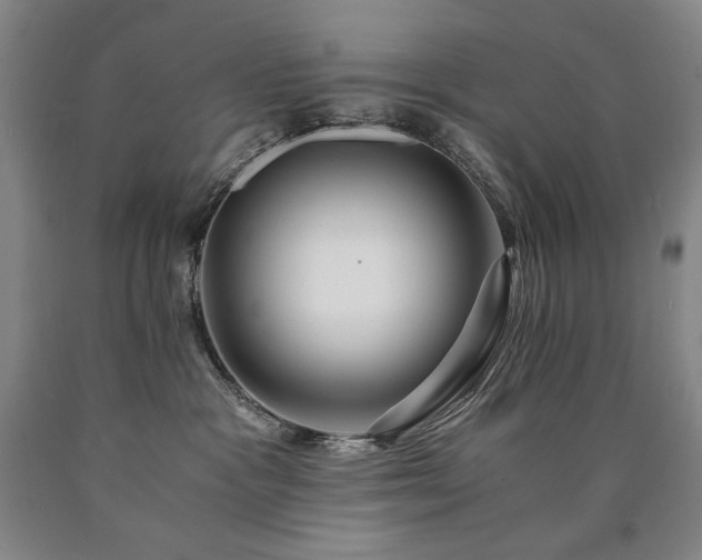 X0000090920333200707301538