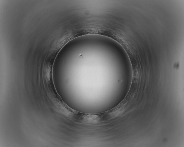 X0000090920334200707301538