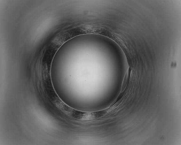 X0000090920335200707301538