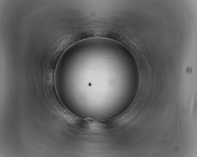 X0000090920336200707301538
