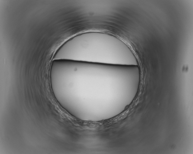 X0000090920337200707301537