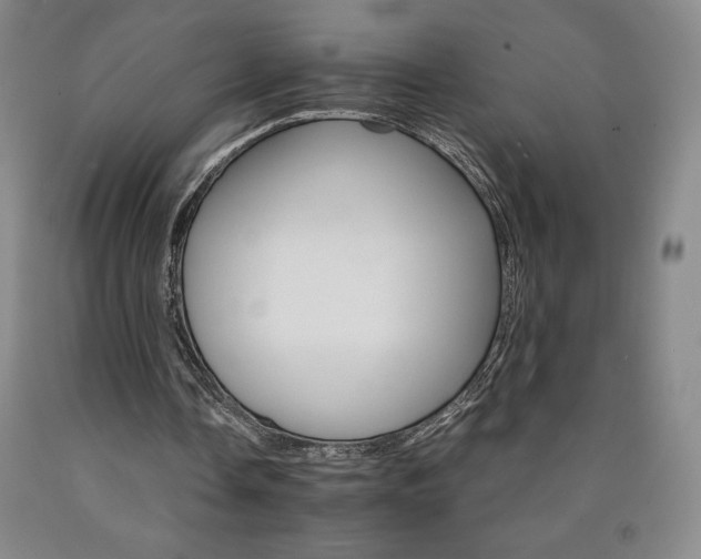 X0000090920338200707301537