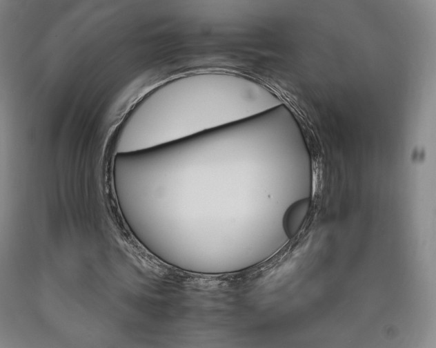 X0000090920339200707301537