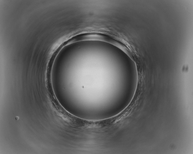X0000090920340200707301537
