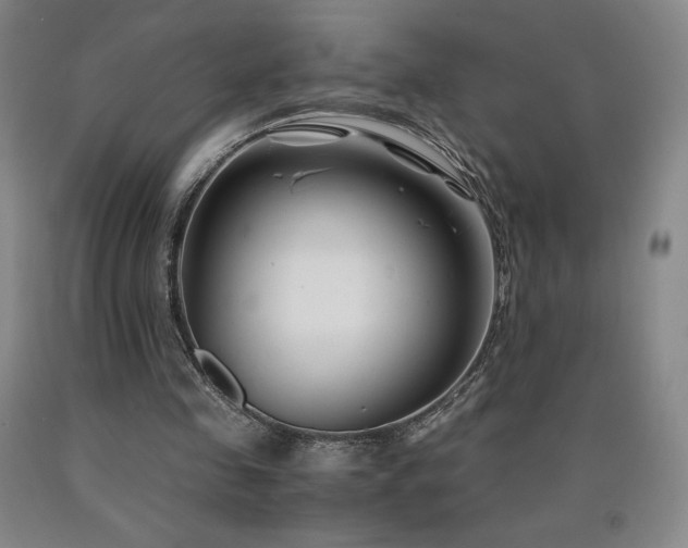 X0000090920341200707301538