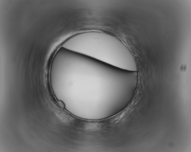 X0000090920342200707301538