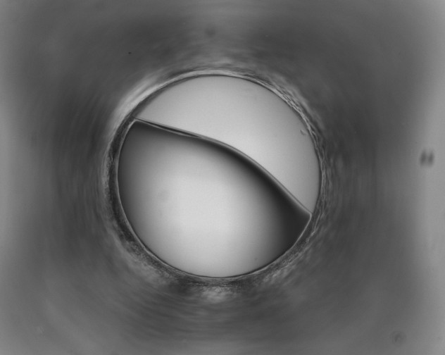 X0000090920344200707301538