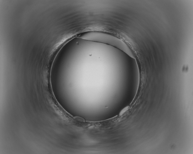 X0000090920345200707301538