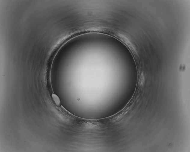 X0000090920346200707301538