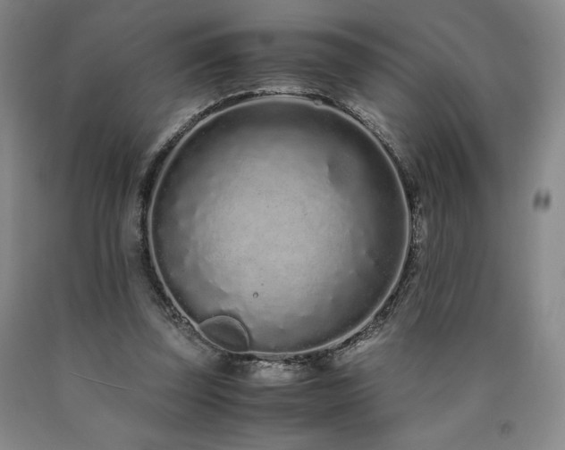 X0000090920347200707301538