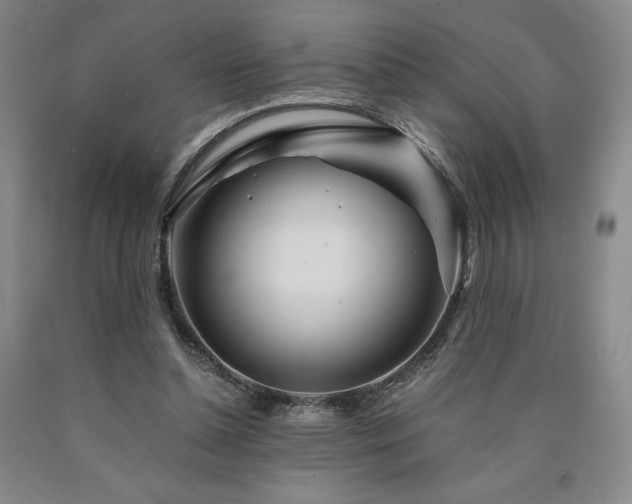 X0000090920348200707301538