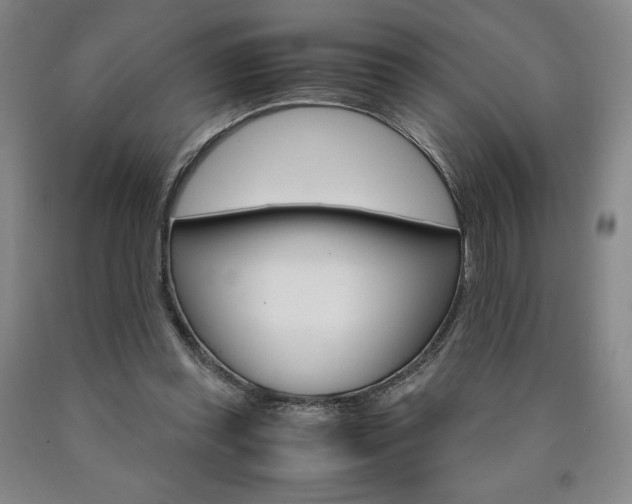 X0000090920349200707301538