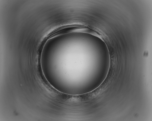 X0000090920350200707301538