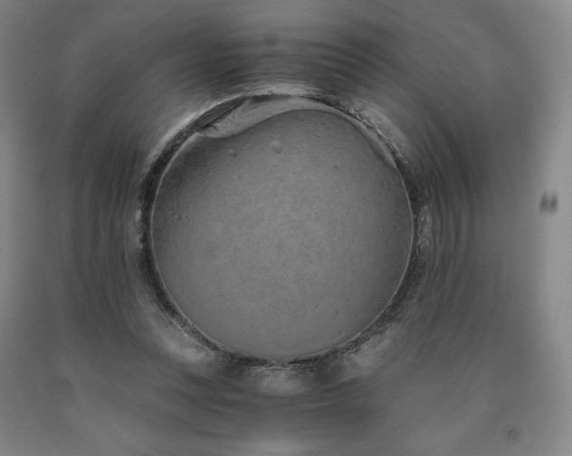 X0000090920351200707301538