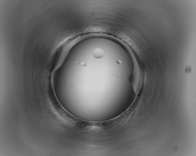 X0000090920352200707301538