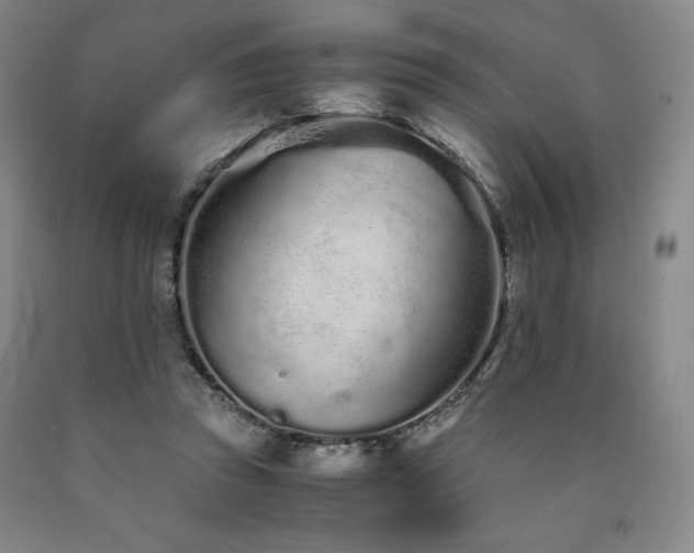 X0000090920353200707301538