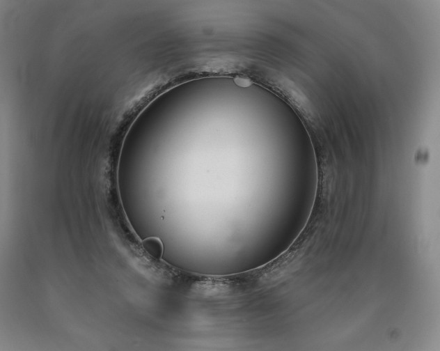 X0000090920354200707301538