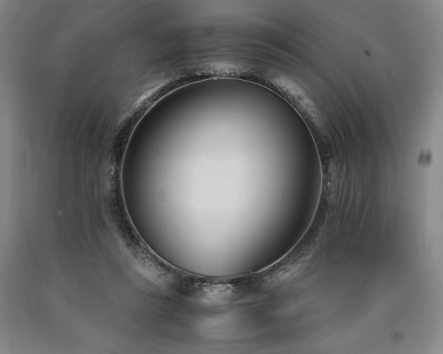 X0000090920355200707301538