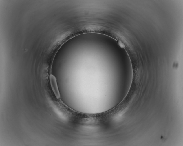 X0000090920356200707301538