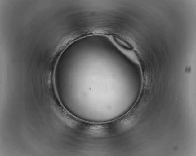 X0000090920357200707301538