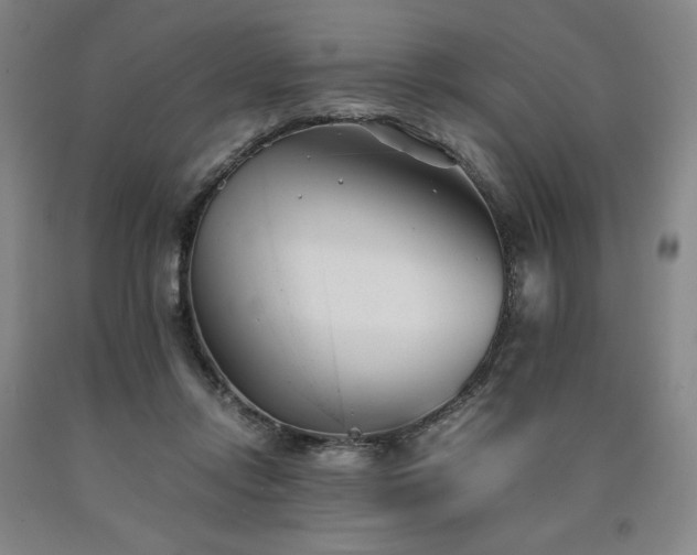 X0000090920358200707301538
